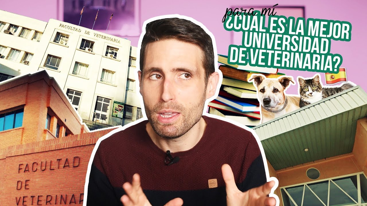 ¿Cuál es la mejor Universidad de Veterinaria en España?