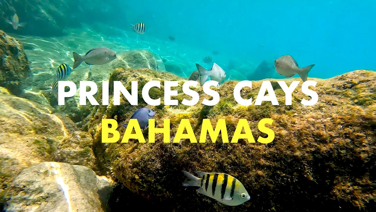 Princess Cays Bahamas | May 7th 2025