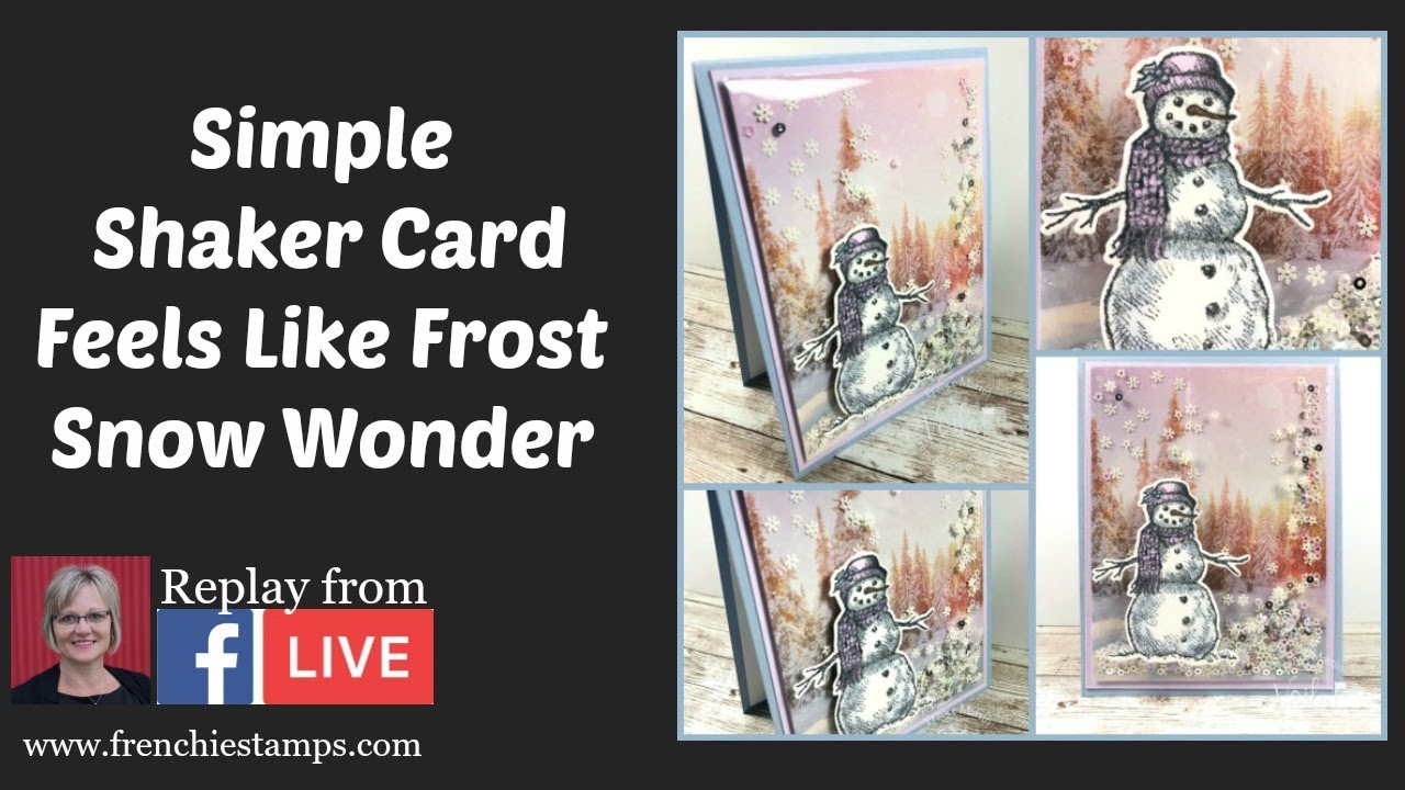 Simple Shaker Card with Feels Like Frost and Snow Wonder.