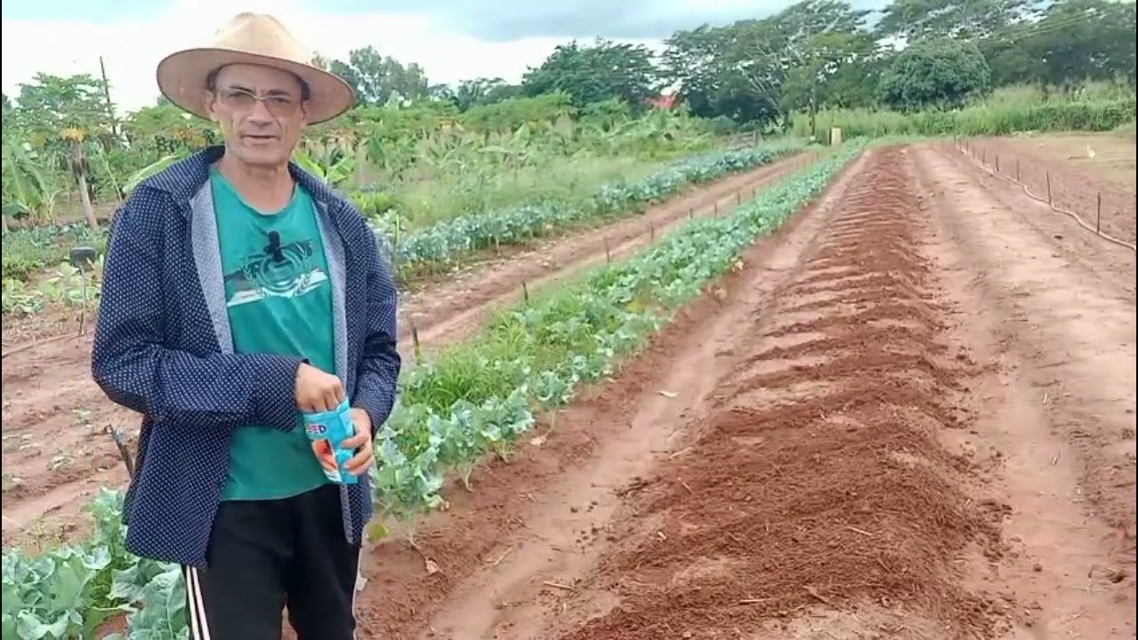 Plantio de Cenoura!🥕