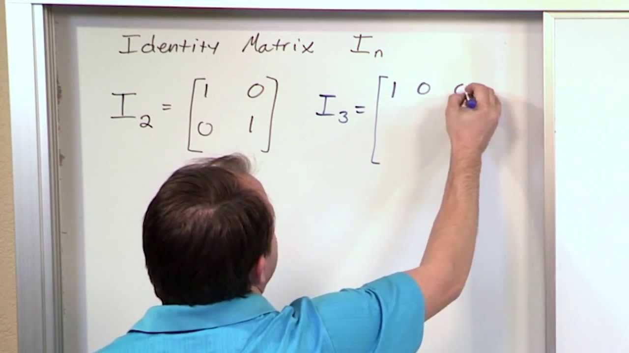 Special Matrices in Linear Algebra