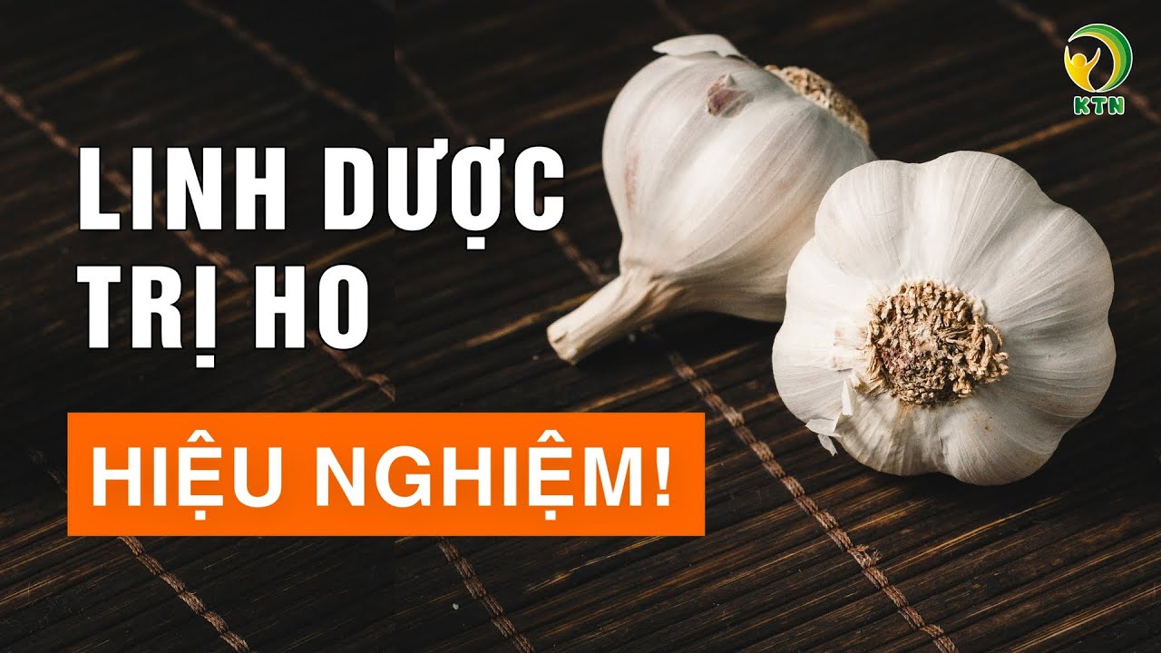 6 c&aacute;ch trị ho từ tỏi hiệu nghiệm, thay thế kh&aacute;ng sinh - KHOẺ TỰ NHI&Ecirc;N