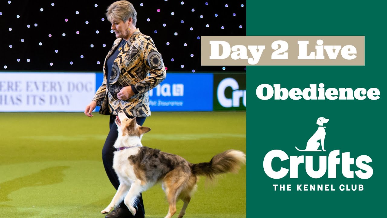 Obedience Day 2 LIVE | Inter-Regional Obedience | Crufts 2025