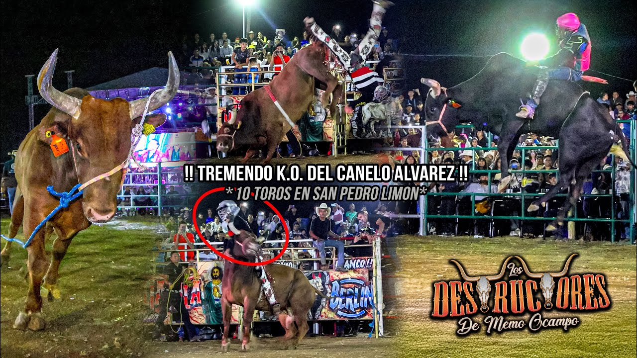 TREMENDO K.O. DEL CANELO | UNA JUGADA MUY IGUALADA | 10 TOROS | Destructores San Pedro Limon Mex 25