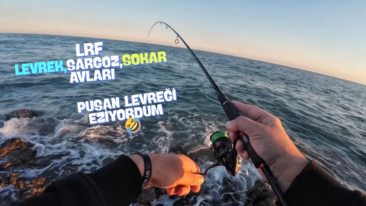 MERSİN LRF LEVREK / SARGOZ / SOKAR Avları. Pusmuş Levreği Eziyordum. Hanfish Bıdık / Kunduz / Gurt 