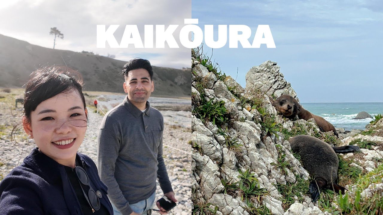 48 hours in Kaikōura | Seals, Whales and Dolphins | New zealand South Island Road Trip