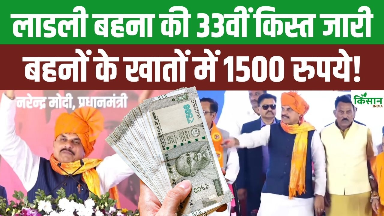 CM Mohan Yadav ने दिया लाडली बहनों को बड़ा तोहफा! ladli behna yojana की 33वीं किस्त जारी!