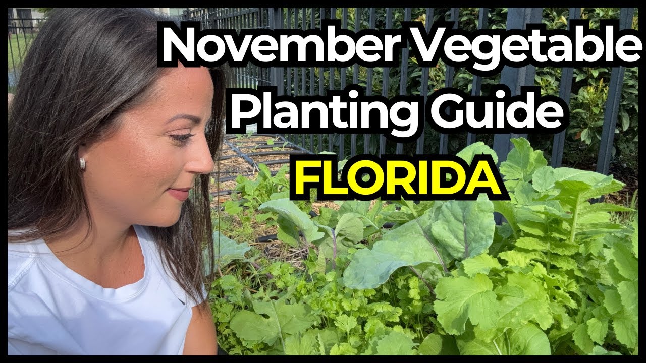 23 Essential Vegetable Crops Every Florida Gardener Needs in November
