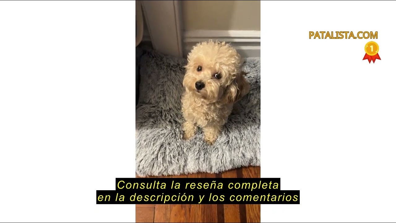 Reseña del EHEYCIGA Felpa Cama Perro Extra Grande 105x70x9 cm, Colchon y Colchoneta Perro Lavable, C
