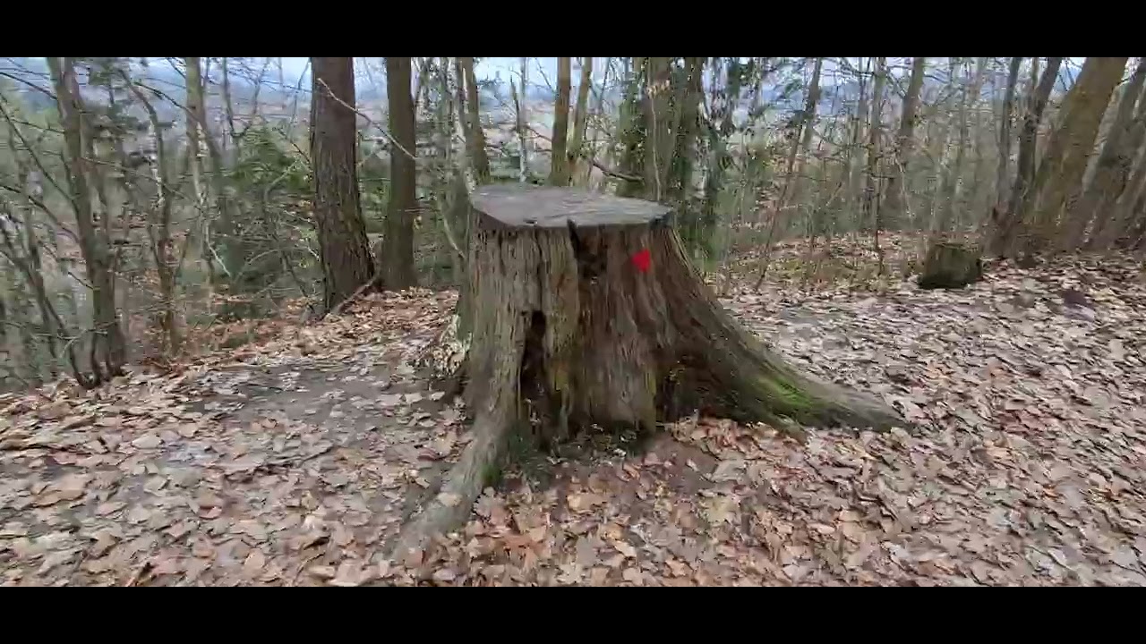 Хата горного вора в законе.