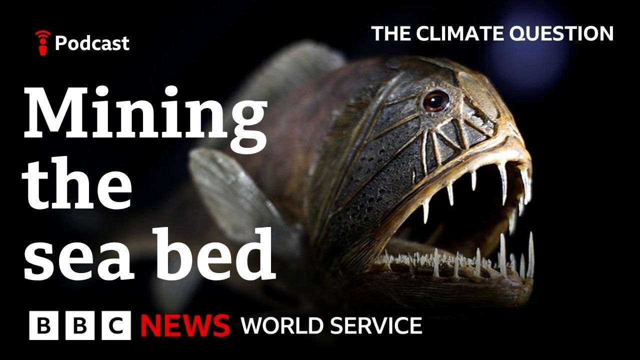 Should we mine the deep ocean? - The Climate Question Podcast, BBC World Service