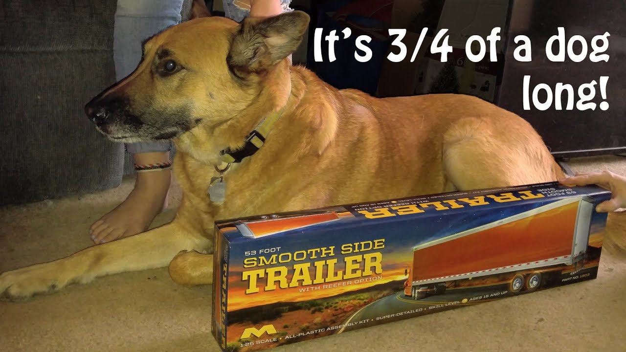53 ft Trailer Kit Review 1/25 by Moebius Models