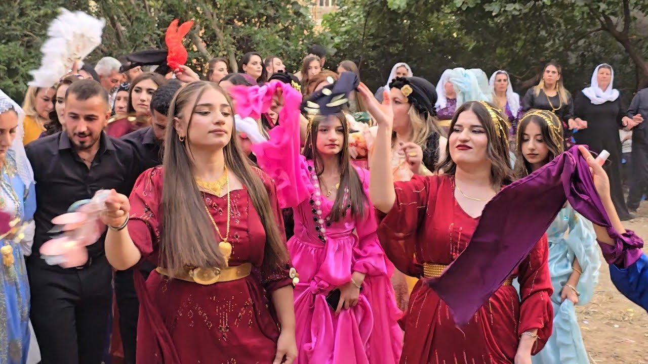 İmat Rekani - Daweta Uludere Rıpın [ 2024 © HD ]