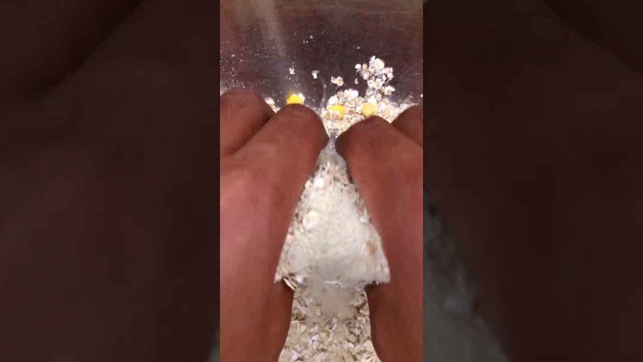 Mein Angelfutter REZEPT mit VANILLE MAIS Aroma