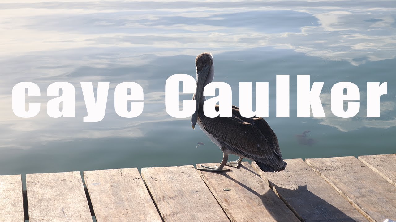 Caye Caulker, Belize | Canon 80D | Virtual Trip