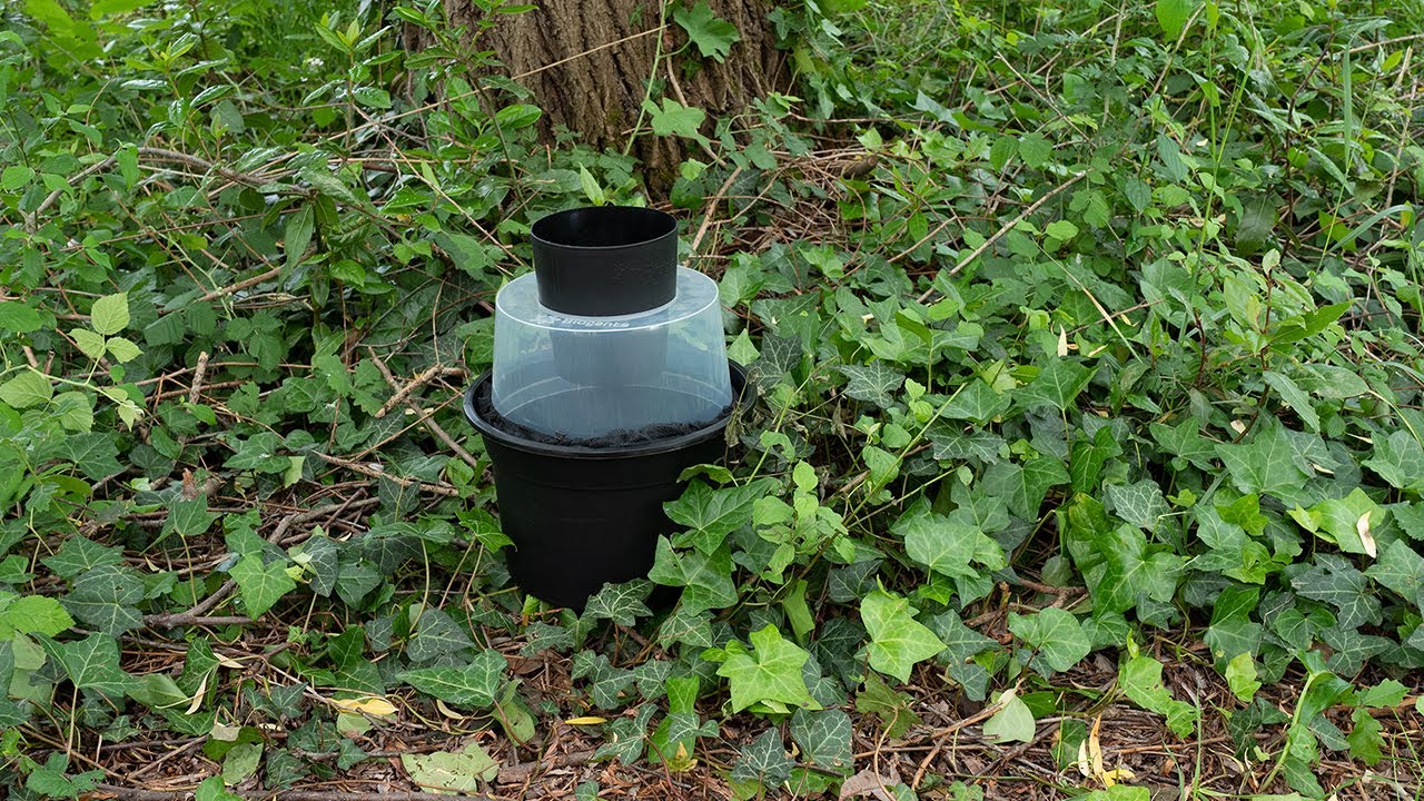 BG-GAT 2 piège contre la reproduction du moustique tigre Set de 2