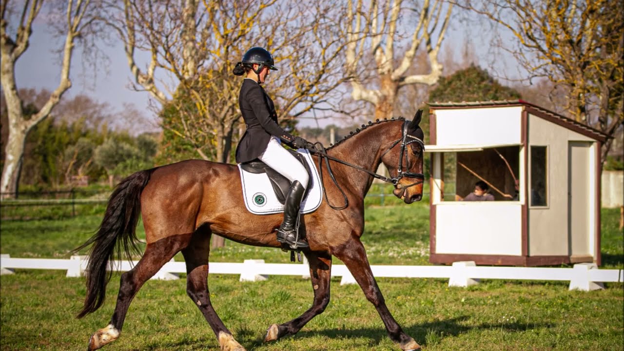 IRIS & GALAXIE SAINT LOUP CCE Pro 2 le Pouget Mars 2025