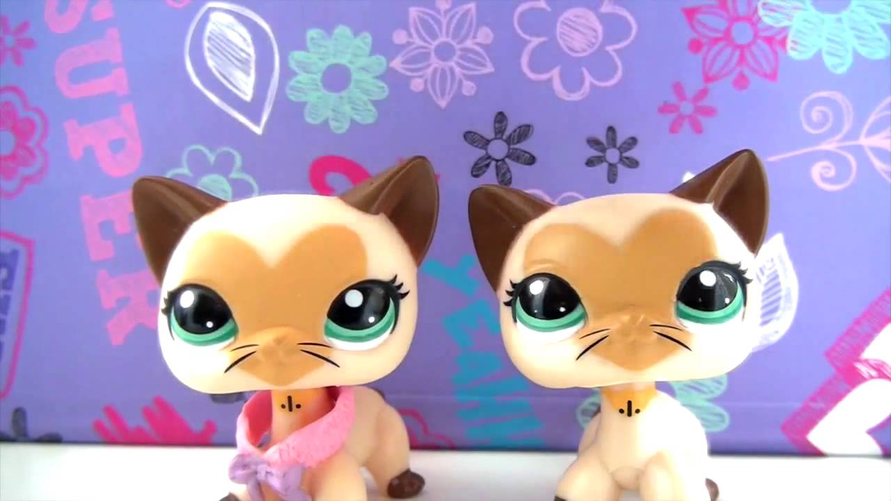 LPS  ОБЗОР стоячки европейские кошки