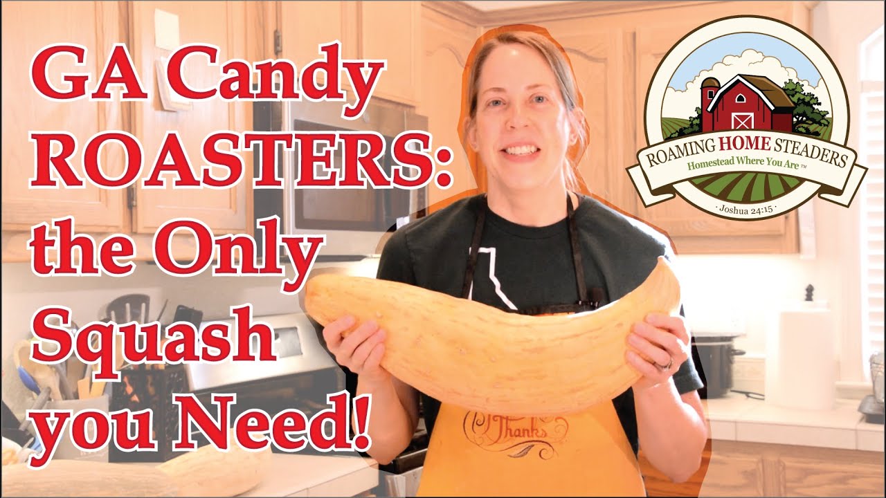 Georgia Candy Roasters — единственная тыква, которая вам нужна!