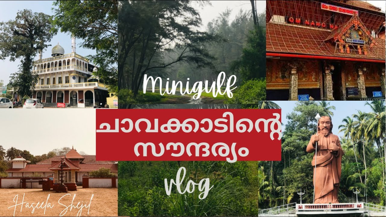 ചാവക്കാടിന്റെ സൗന്ദര്യം/Beauty of Chavakkad/#guruvayoor #chavakkad #malayalam #history #vlog ❤️