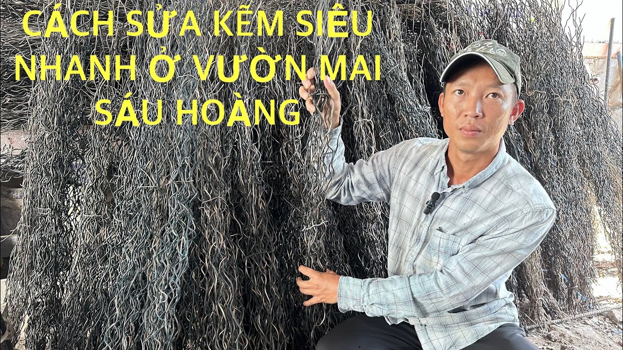CÁCH SỬA SIÊU NHANH GIÚP NHÀ VƯỜN TIẾT KIỆM THỜI GIAN VÀ CÔNG SỨC