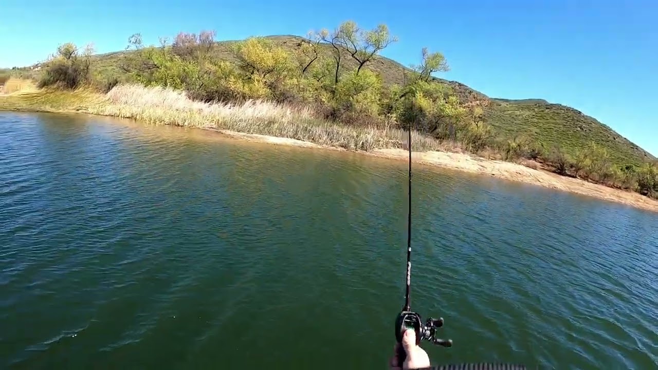 Using a Ned Rig to Catch TROUT - Lake Skinner, CA