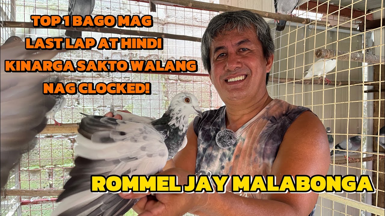 STOCK BIRD SANA KASO NAPA LARO MAG CHACHAMPION PA PALA! 