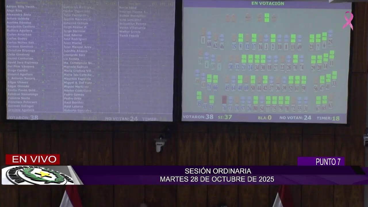 TV C&Aacute;MARA