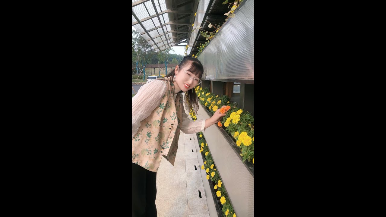 3--10--懂壶的朋友，进来聊两句！