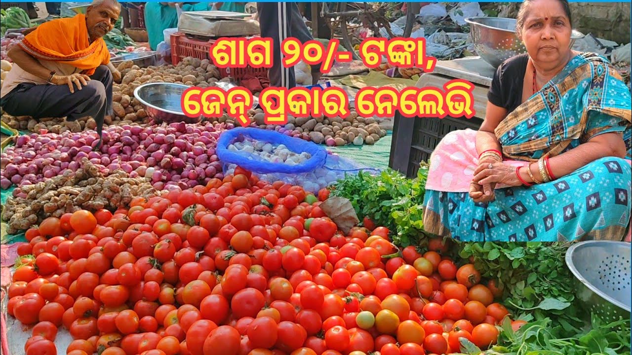 ଆଜି ବହୁତ୍ କମ୍ ଦାମରେ ମିଲୁଛେ ପନିପରିବା (Today vegetable price very low)