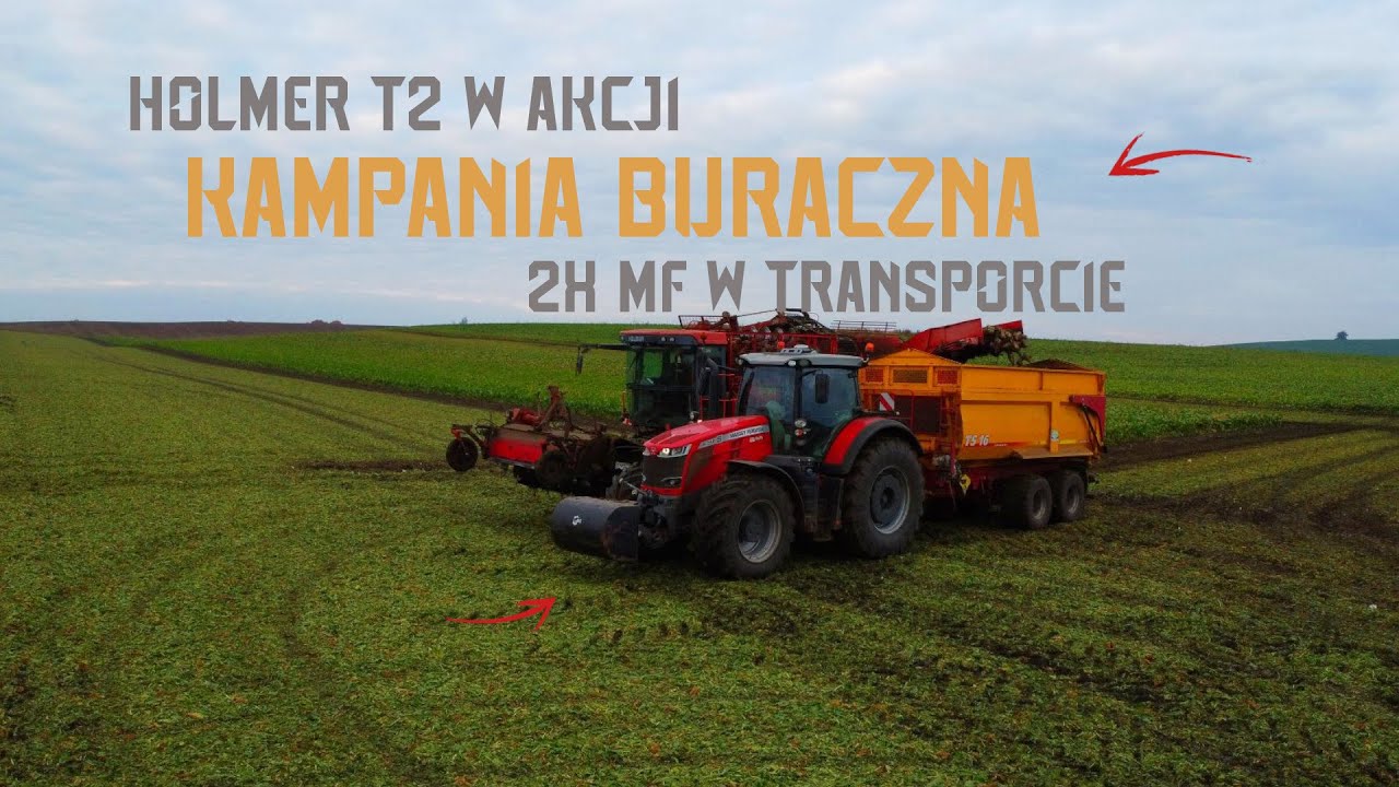 🇵🇱 KAMPANIA BURACZANA 2025 | HOLMER T2 & 2X MASSEY FERGUSON W AKCJI | GR ANIOŁ