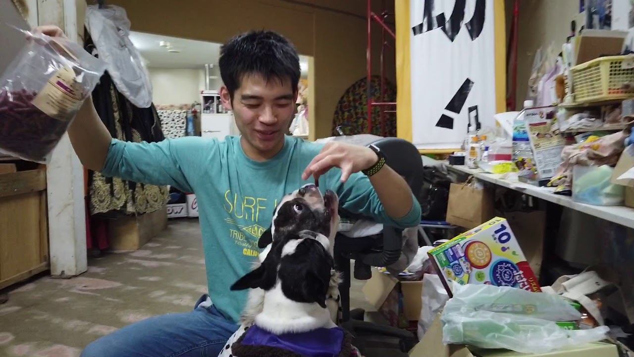 おやつおじさんとパイちゃん達