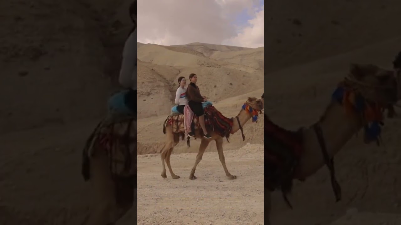 Adventure Bound: 11 Quotes to Inspire Family Travel