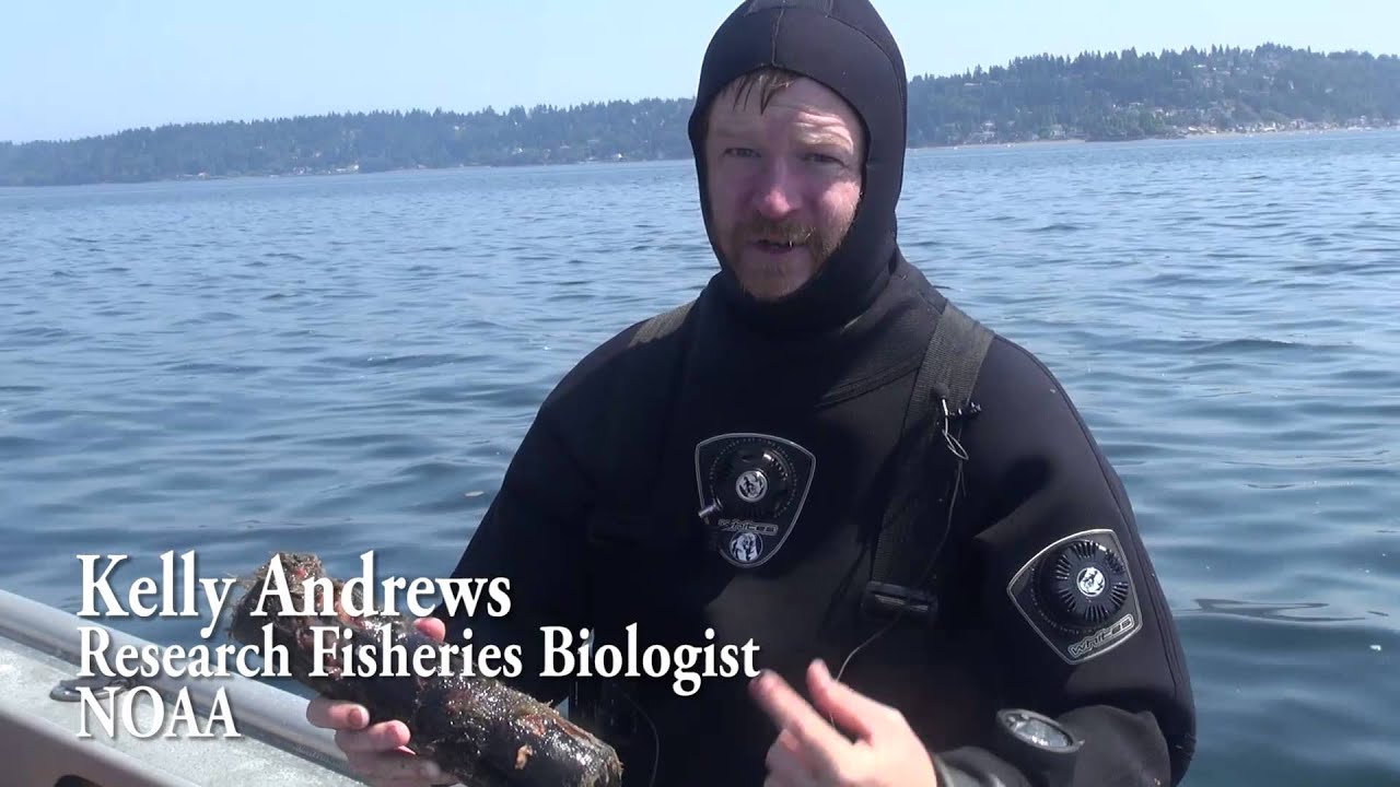 Backpack Environmental: Fish Conservation