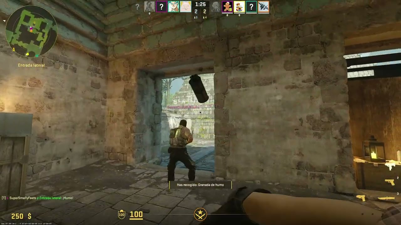 CS 2 - Noob to Pro Chapter 245