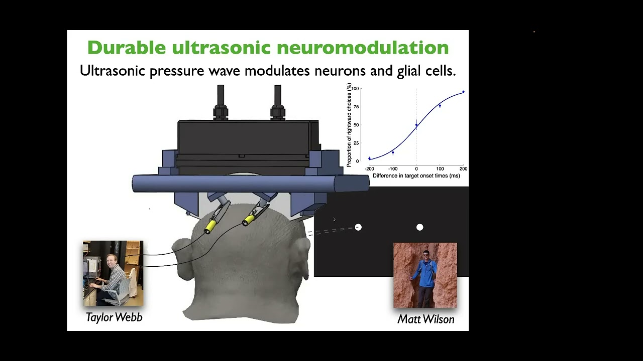 Jan Kubanek: Durable Modulation of Deep Brain Circuits