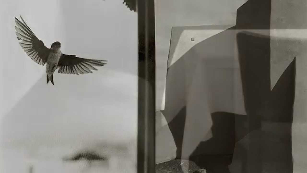 Bernard Plossu