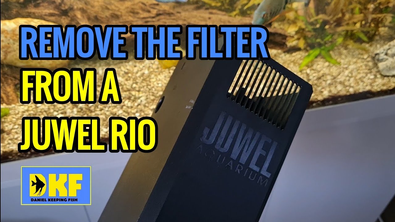 HOW TO REMOVE THE FILTER FROM A JUWEL RIO