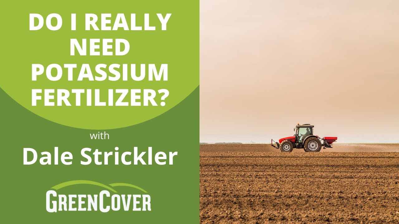 Do I Really Need Potassium Fertilizer? with Dale Strickler