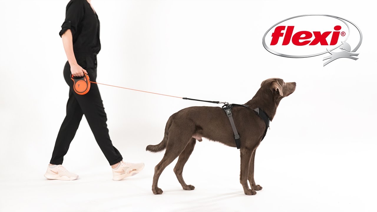 How to use a flexi&reg; Leash - The only original retractable leash 2024