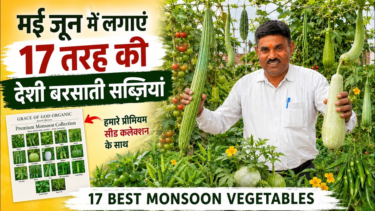 मई जून में लगाएं 17 देसी बरसाती सब्जियां || DESI Monsoon Vegetable Seeds for May - June - July