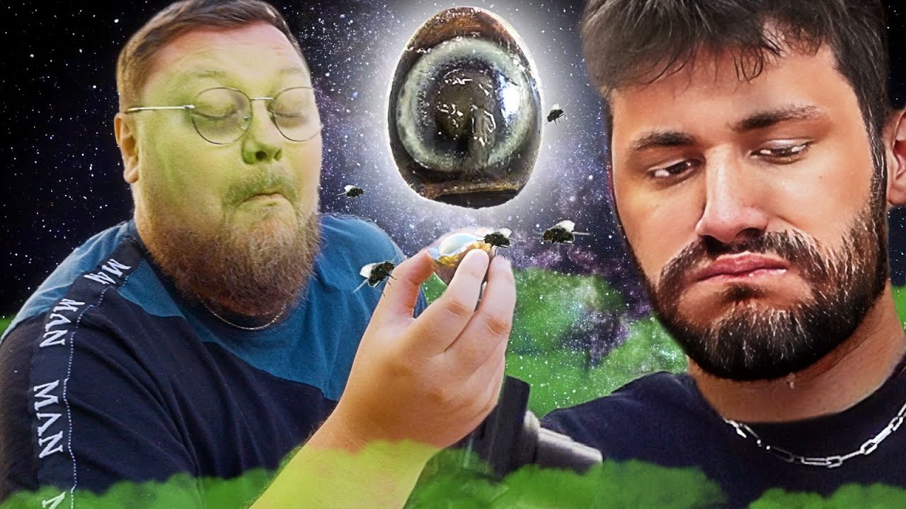 Delikatesse 1000-Jährige Eier | Schmackofatz 2