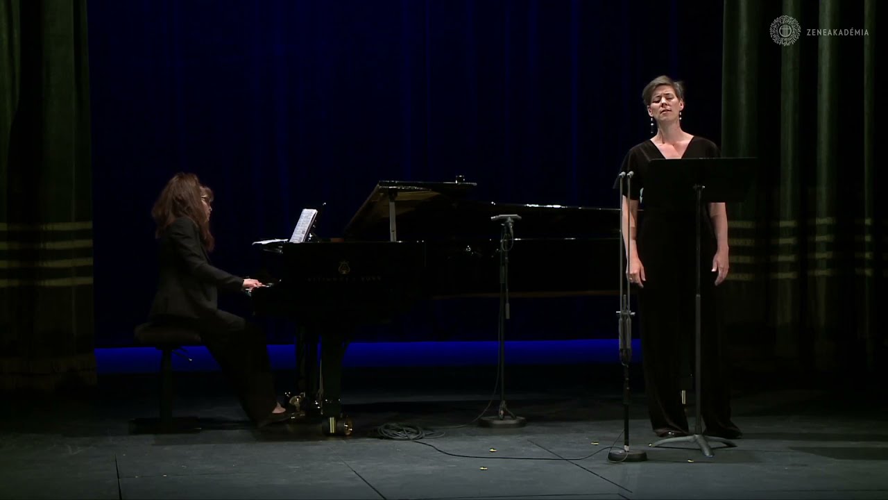 The authors abstract of melancholy, Διαλογῶς by Mihalicza Csenge (2020)