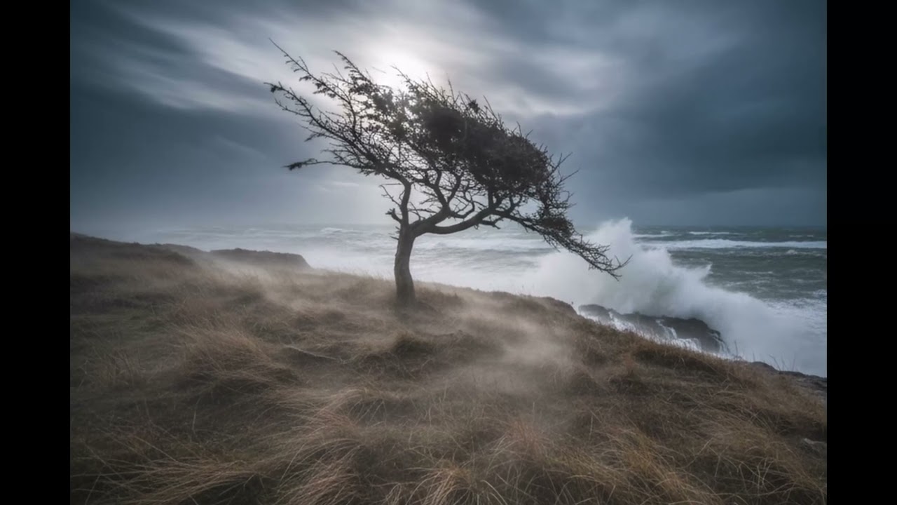 EL SONIDO DEL VIENTO