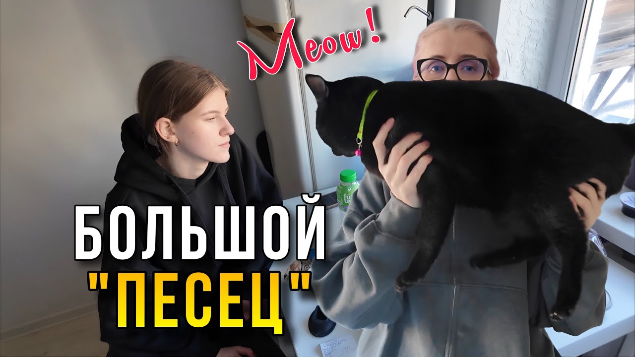 Не верю обещаниям . Кира придумала обед а я……