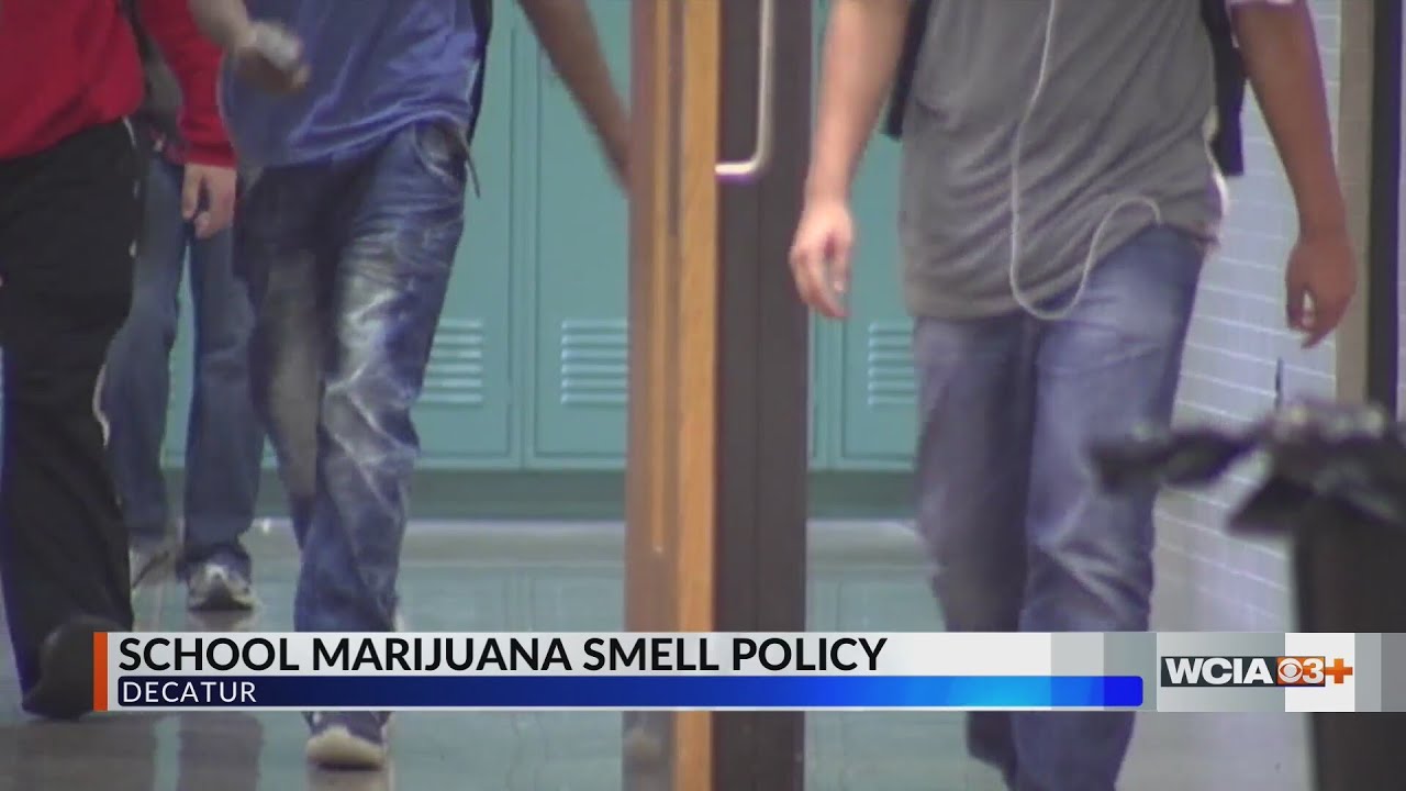 Decatur school district introduces 'marijuana smell' policy