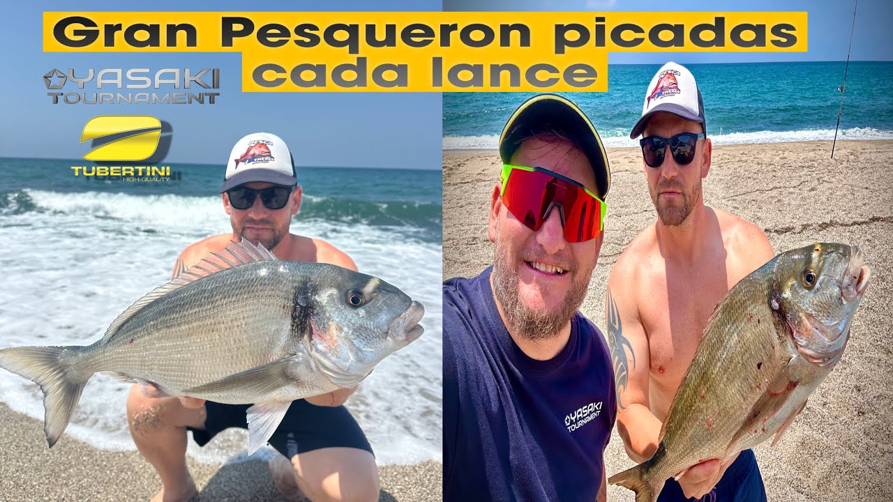 💛 GRAN PESQUERON!! TRIPLETE DE DORADAS MÁS TRIPLETE DE BURROS SURFCASTING CON MI COLEGA MIGUEL 🖤