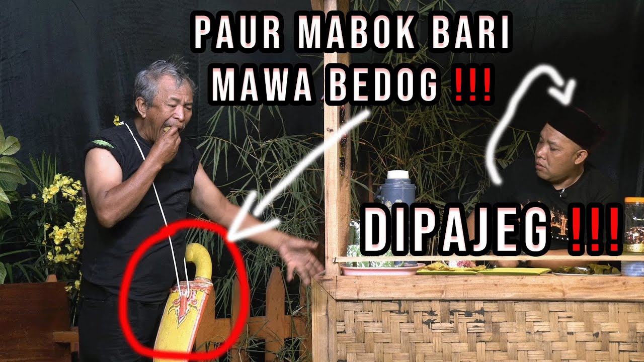 MANG AD&Eacute; BATAK MABOK BARI MAJEG MAMAWA BEDOG ❗❗❗
