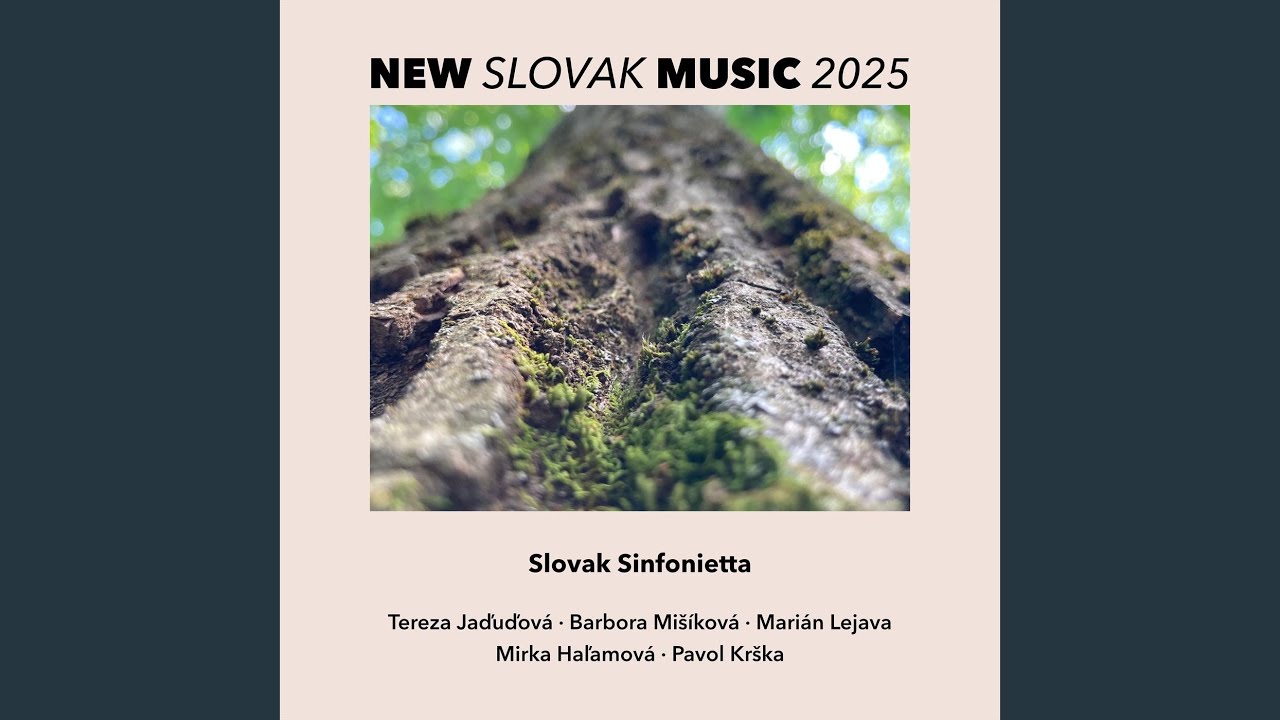 Contrabass Concerto: II. Lento (Live)