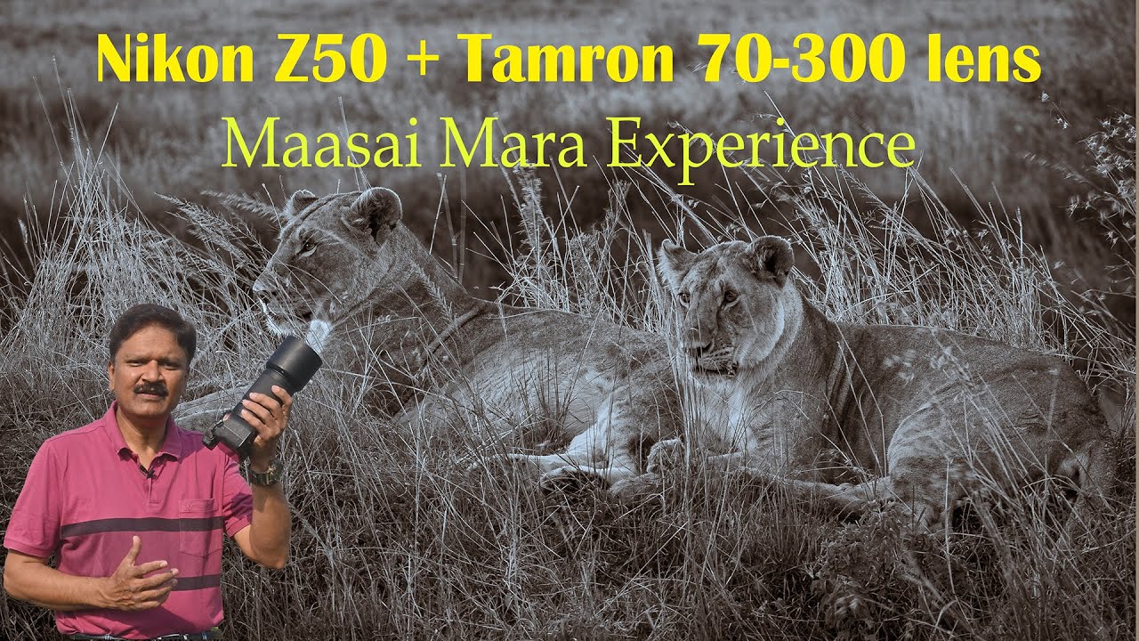 Nikon Z50 plus Tamron 70 300 lens  Maasai Mara experience